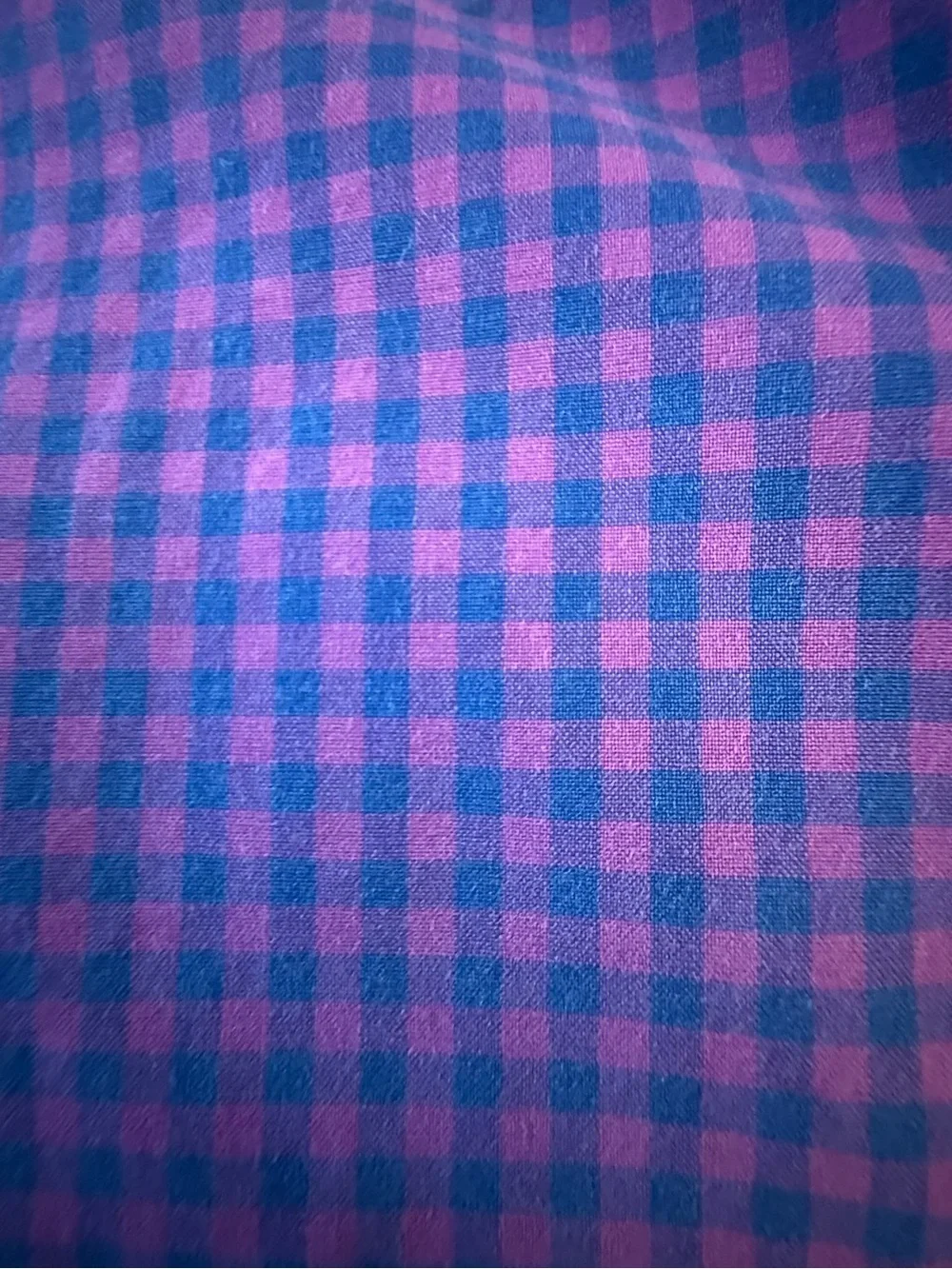 J. Crew Purple and Pink Gingham Button-Down Shirt